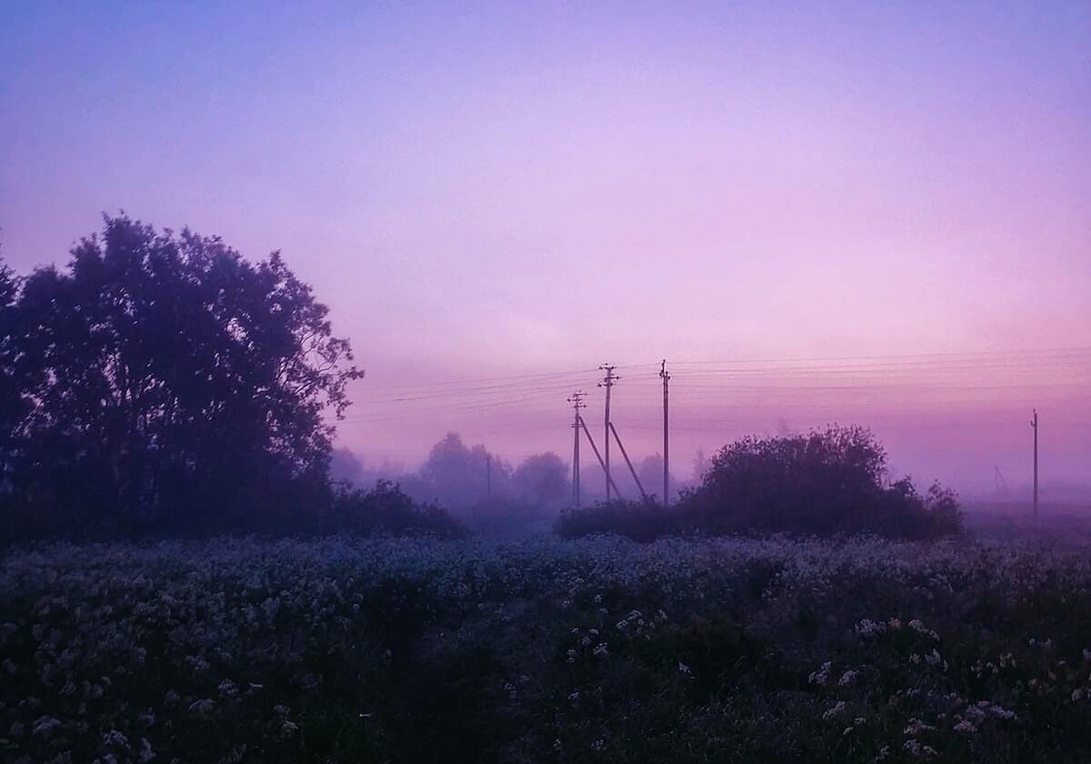 全红婵哥哥回应AI仿冒妹妹卖土鸡蛋：我现在告都告不赢